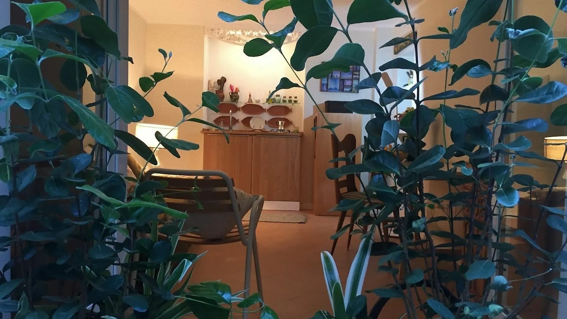 Cortile Montechia By Domusextra Apartment Naples